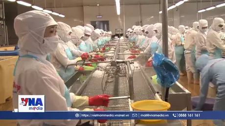 Xoay trục thị trường để giảm áp lực cho xuất khẩu thủy sản vào Hoa Kỳ