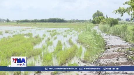 Thi công các công trình thủy lợi phòng, chống nước lũ 2025