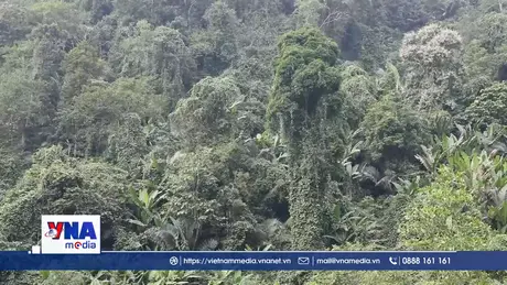 Cảnh báo cháy rừng tại Nghệ An