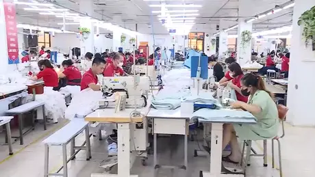 Lần đầu khấu trừ chi phí giáo dục, y tế vào thuế thu nhập cá nhân