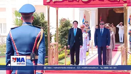 Lễ đón Chủ tịch nước Lương Cường thăm Ai Cập