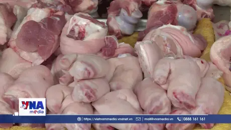 Dấu hiệu nhận biết thịt lợn bệnh