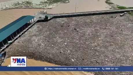 Hàng trăm tấn rác ‘bủa vây’ cảng cá, khu neo đậu tàu ở Hà Tĩnh