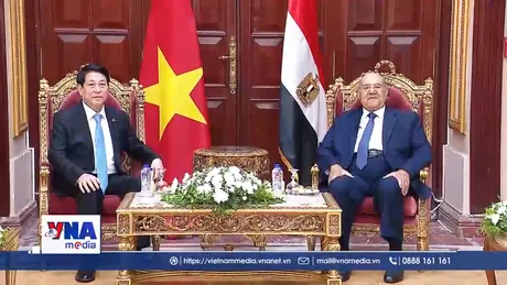 Chủ tịch nước Lương Cường hội kiến Chủ tịch Thượng viện Ai Cập