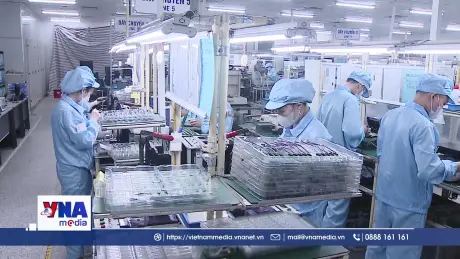 Hơn 174 nghìn doanh nghiệp gia nhập thị trường trong 7 tháng