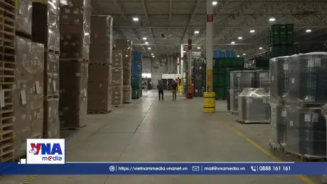 Ngành công nghiệp ô tô chịu thiệt hại nặng từ thuế quan Mỹ