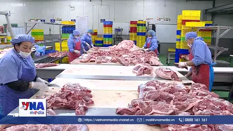 Việt Nam chi gần 2,6 tỷ USD nhập khẩu thịt và sữa