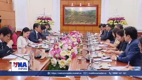 Tăng cường phát triển toàn diện quan hệ Việt Nam - Nhật Bản