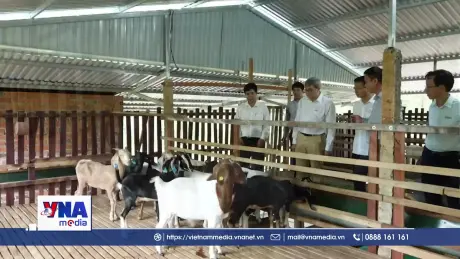 Phát huy tiềm năng du lịch sinh thái từ chăn nuôi