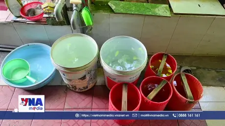 Tây Ninh theo dõi chặt chẽ tình hình sốt xuất huyết đang gia tăng