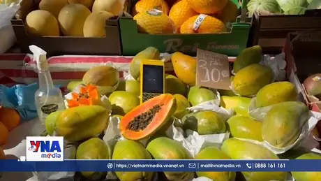 Brazil kiện Mỹ lên WTO