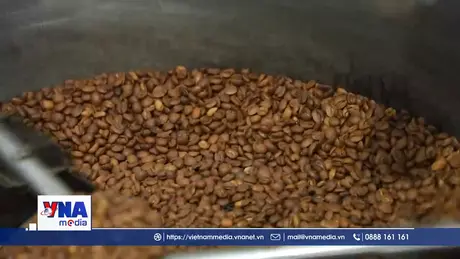 Ngành cà phê Brazil lo ngại mất thị phần tại Mỹ