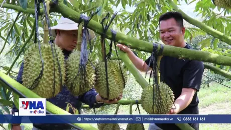 Khánh Hòa đẩy mạnh ứng dụng công nghệ tích hợp trong sản xuất