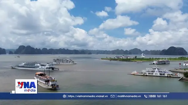 Nâng cao độ an toàn cho đội tàu du lịch trên vịnh Hạ Long