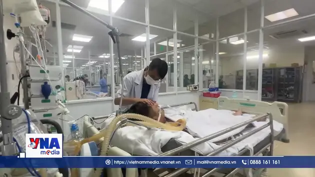 TP.HCM gia tăng ca sốt xuất huyết nặng