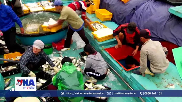 Phát triển thương mại, du lịch, dịch vụ các xã, phường vùng biển