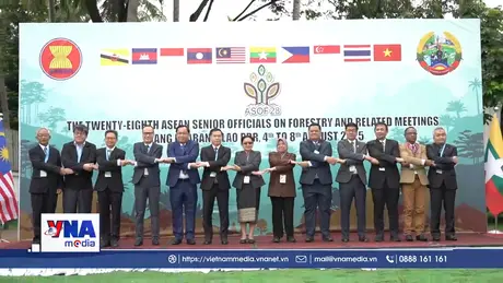 Lào thúc đẩy hợp tác bảo vệ rừng và ứng phó biến đổi khí hậu