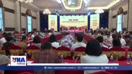 Tham vấn giải pháp thu hút khách du lịch quốc tế đến Thanh Hóa