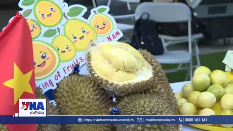 Việt Nam quảng bá sầu riêng tại Lễ hội sầu riêng ASEAN-Trung Quốc