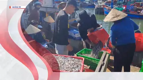 S Việt Nam ngày 11/8/2025