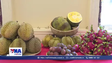 Doanh nghiệp Trung Quốc muốn mở rộng thị trường nhập khẩu nông lâm sản từ Việt Nam