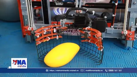 Học sinh “quê lúa” và ước mơ sáng tạo robot giúp nông dân
