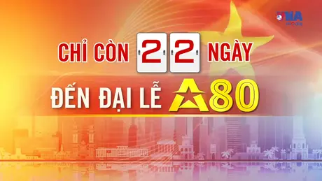 Đếm ngược A80 ngày 11/8/2025