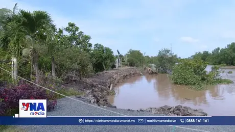 Sạt lở nặng bờ kênh rạch tại xã Hội Cư, Đồng Tháp