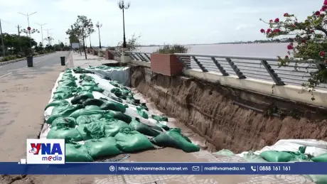 Đồng Tháp: Khắc phục tạm thời sự cố sụt lún, sạt lở kè Thường Thới Tiền