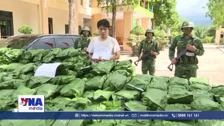 Hà Tĩnh bắt đối tượng thu giữ 240 kg cần sa và nhiều tang vật