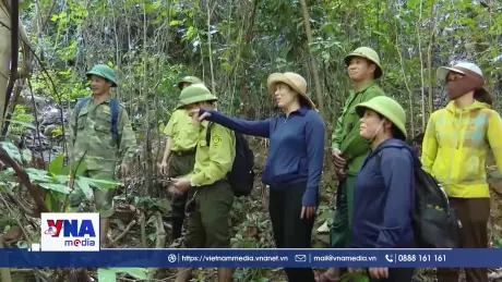 Giữ rừng, sống xanh từ những cánh rừng Quảng Trị