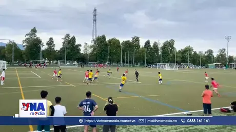 Giải bóng đá cộng đồng người Việt tại Nhật Bản