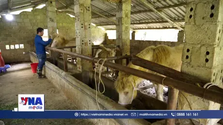 Những thành quả ấn tượng trong hành trình giảm nghèo bền vững