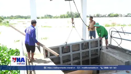 Đồng Tháp Mở cống đón lũ, mang phù sa và thủy sản vào đồng ruộng