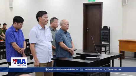 Kiến nghị Hà Nội thu hồi đất rừng mua bán sai phép