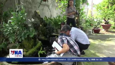 Khu vực ven biển Lâm Đồng tăng cường phòng chống sốt xuất huyết