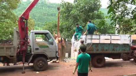 Nguy cơ dịch tả lợn châu Phi tác động đến CPI cuối năm