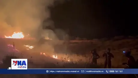 Những yếu tố thúc đẩy khủng hoảng cháy rừng tại châu Âu