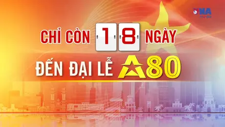 Đếm ngược A80 ngày 15/8/2025: Tàu Kiểm ngư KN 290 sẵn sàng tham gia diễu binh trên biển