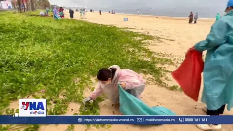 “Ngày Chủ nhật xanh” khơi dậy ý thức bảo vệ môi trường biển