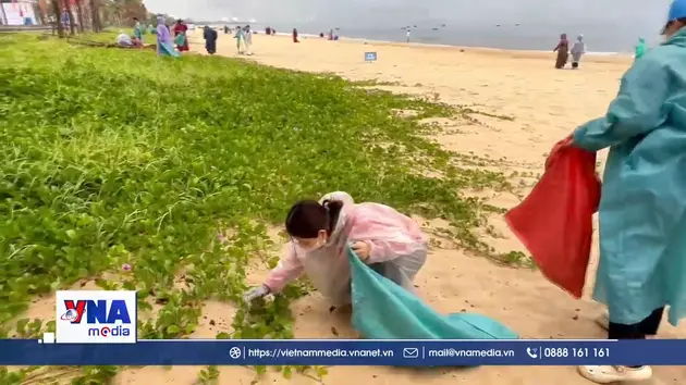 “Ngày Chủ nhật xanh” khơi dậy ý thức bảo vệ môi trường biển