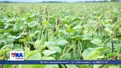 Phát triển bền vững nền nông nghiệp các tỉnh miền Trung, Tây Nguyên