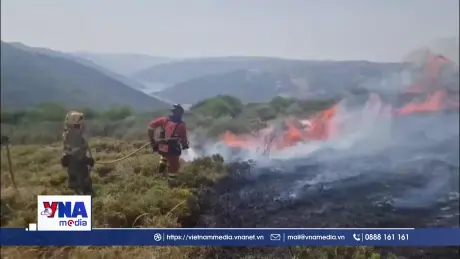 Tây Ban Nha chật vật ứng phó 20 đám cháy rừng lớn