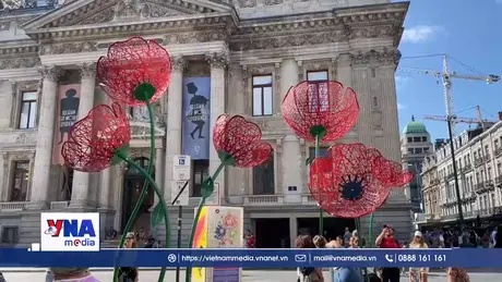 Brussels và khát vọng biến vũ điệu thành bản sắc