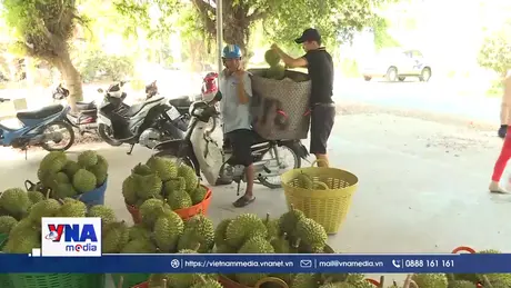 Giải pháp căn cơ lấy lại đà tăng trưởng cho ngành hàng tỷ đô