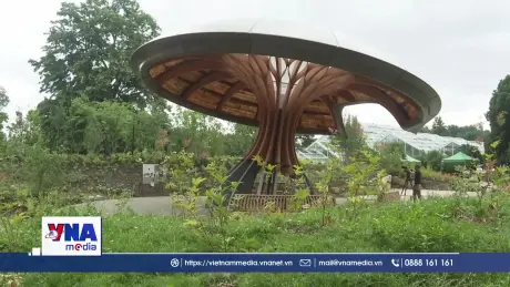 Vườn Carbon – Lời giải cho bài toán khí hậu