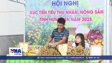 Đưa thương hiệu nhãn Hưng Yên hướng tới xuất khẩu