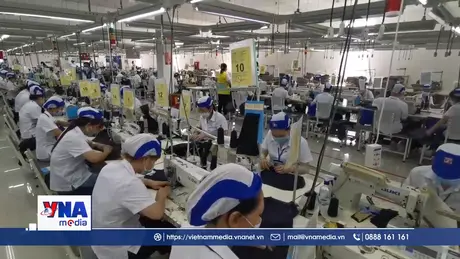 Cần Thơ thu hút doanh nghiệp phát triển xanh và bền vững