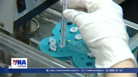 Dòng chảy công nghệ số 5 ngày 20/8/2025