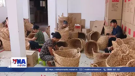 Tạo sinh kế cho người cao tuổi thoát nghèo